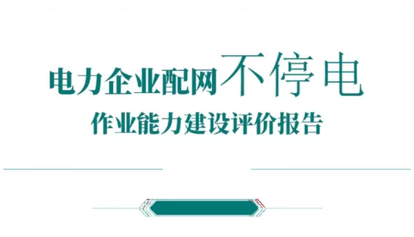 电力企业配网不停电作业能力建设评价报告