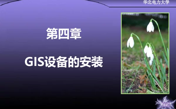 GIS设备的安装