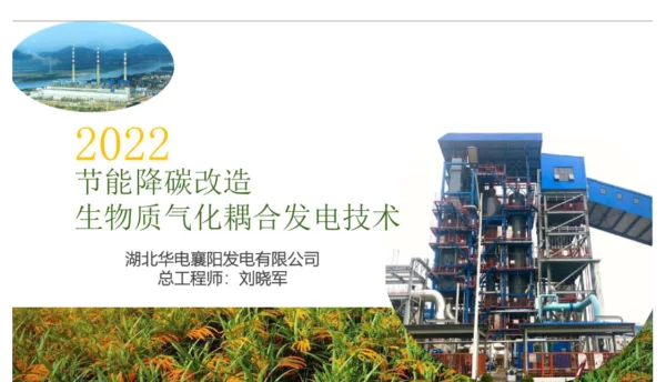 2022节能降碳改造生物质气化耦合发电技术