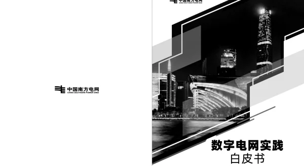 数字电网实践白皮书