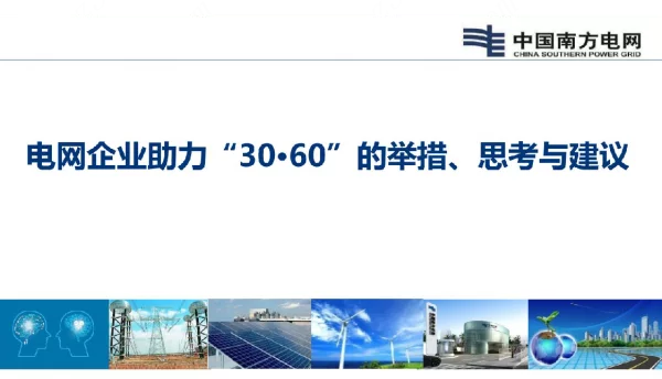 电网企业助力“30·60”的举措、思考与建议