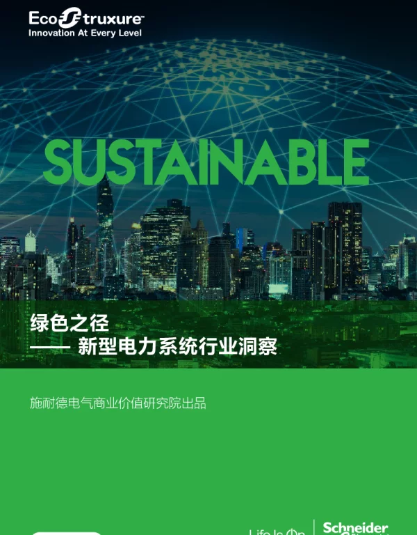 新型电力系统行业洞察白皮书-施耐德电气