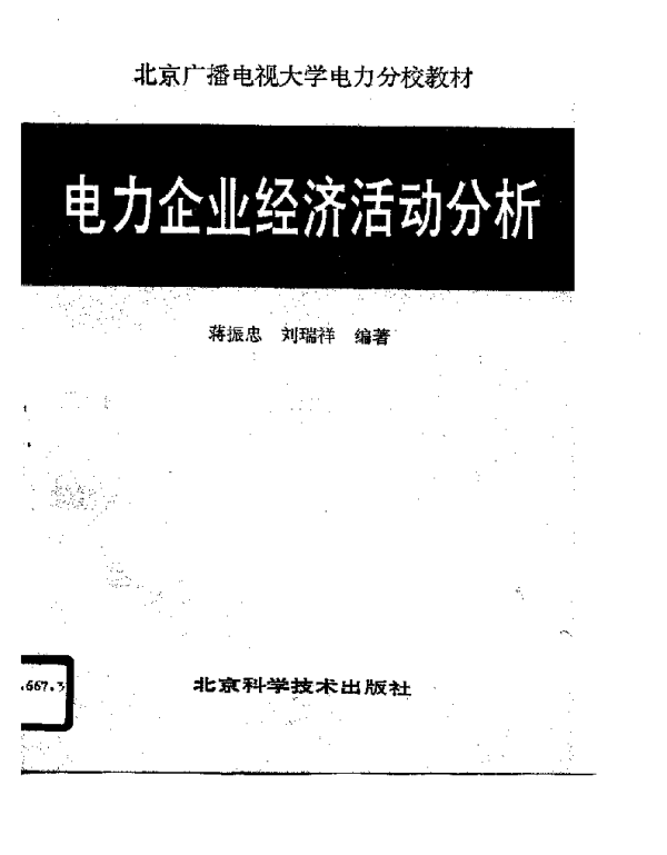 电力企业经济活动分析