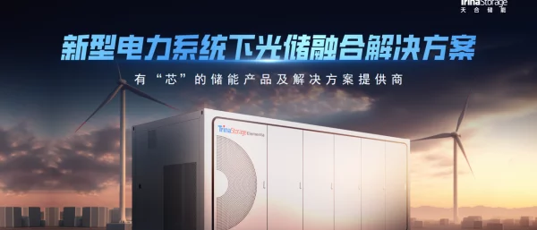 2023杨凯天合储能新型电力系统下光储融合解决方案