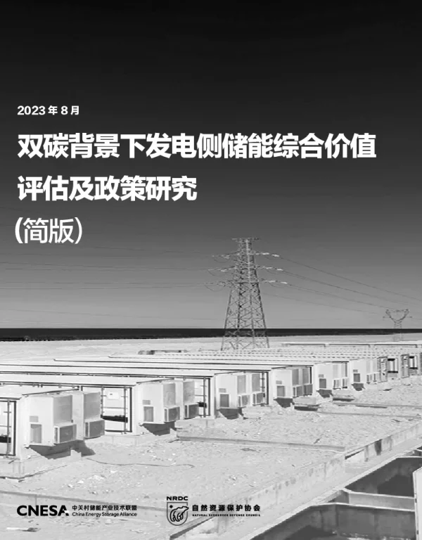 2023年8月最新双碳背景下发电侧储能综合价值评估及政策研究