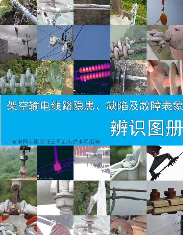 输电线路隐患、缺陷与故障表象辨识图册_1200例