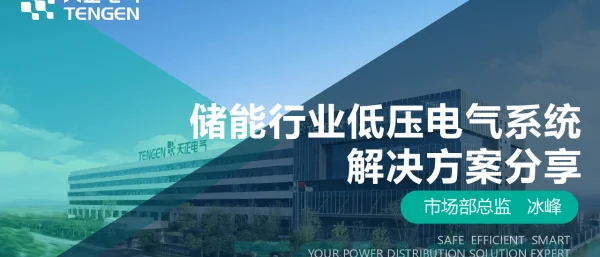 2023储能行业低压电气系统解决方案