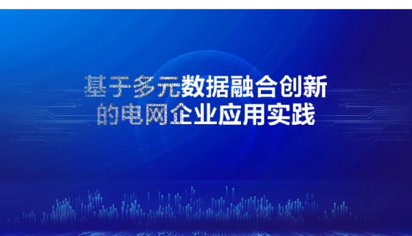电网企业多元数据创新实践