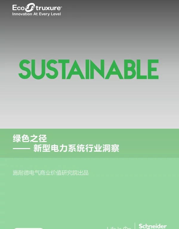 施耐德新型电力系统行业洞察_白皮书