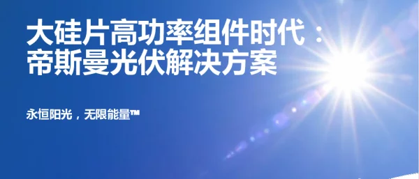 帝斯曼-隆基微讲堂报告v6-已确认