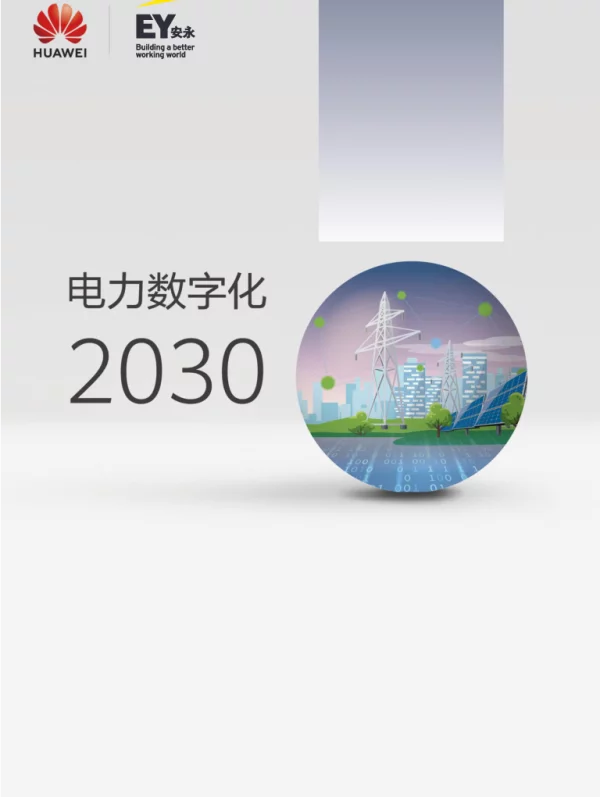 电力数字化2030