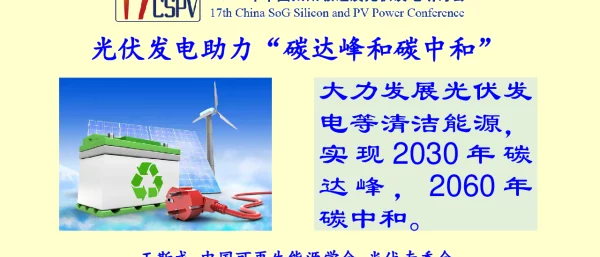 中国可再生能源学会王斯成：光伏发电助力“碳达峰和碳中和”