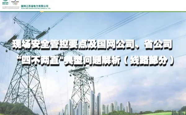 现场安全管理管控要点及国网、省“四不两直”典型问题解析（线路部分）