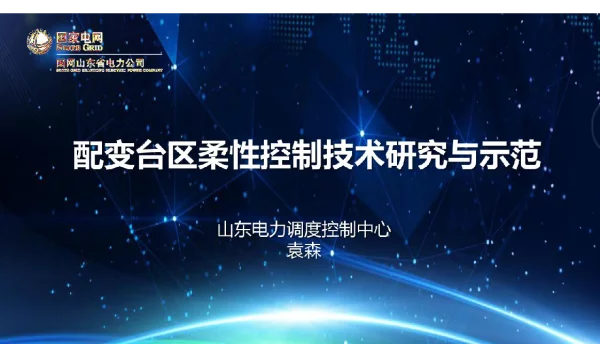 配变台区柔性控制技术研究与示范——国网山东省电力调度控制中心袁森