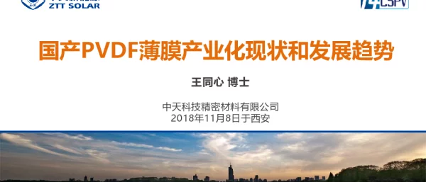 国产PVDF薄膜产业化现状和发展趋势-王同心