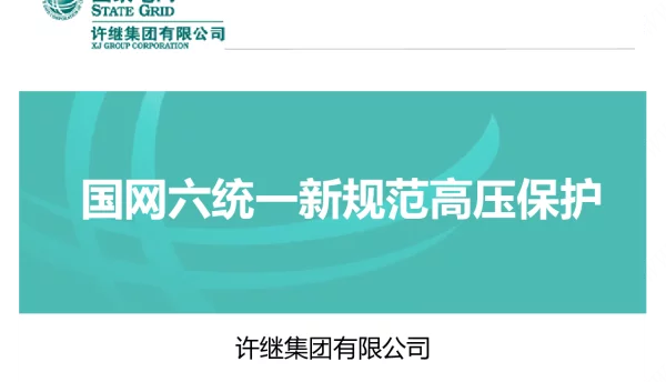 国网六统一新规范保护介绍