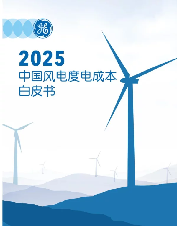 2025中国风电度电成本白皮书