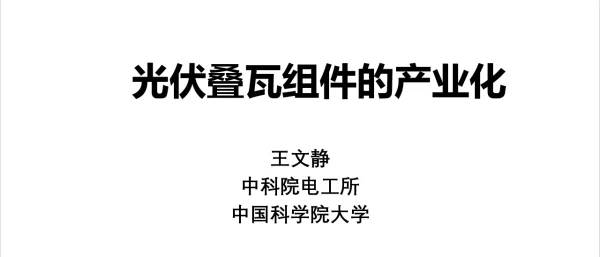 中国光伏组件技术发展-王文静_20190315213546