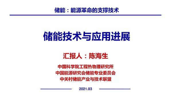 2021储能技术与应用发展--储能：能源革命的支撑技术