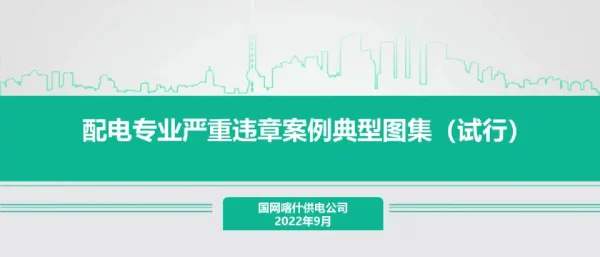 配电专业严重违章案例典型图集