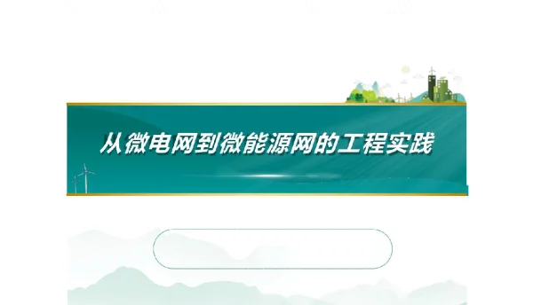 从微电网到微能源网的实践