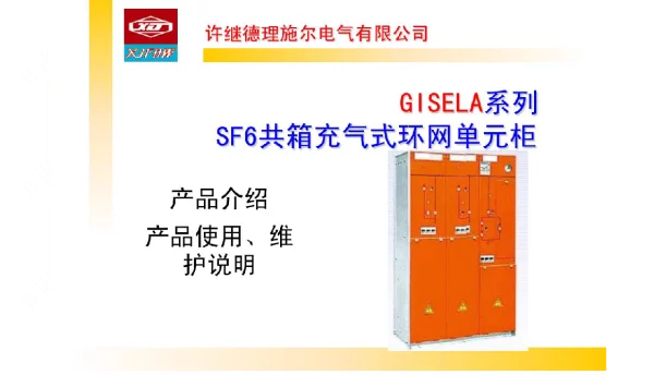 SF6气体绝缘共箱充气柜培训资料