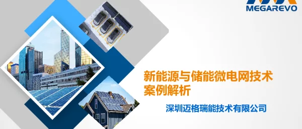 新能源与储能微电网技术案例解析