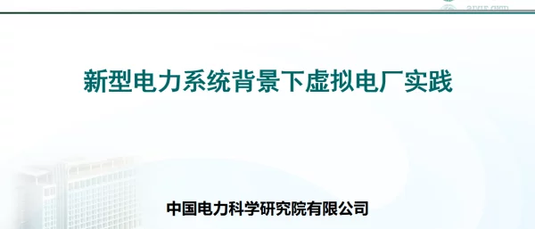 2023王舒杨新型电力系统背景下虚拟电厂实践