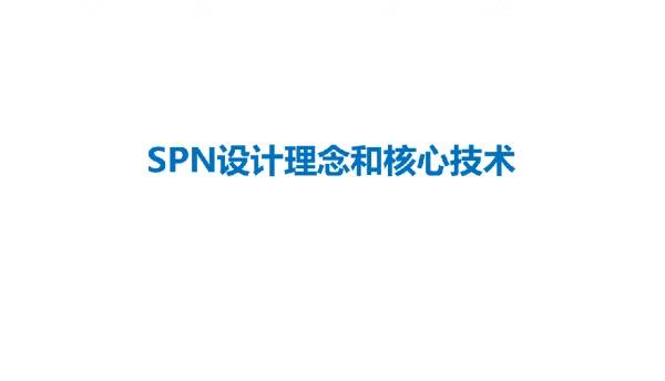 SPN设计理念和核心技术