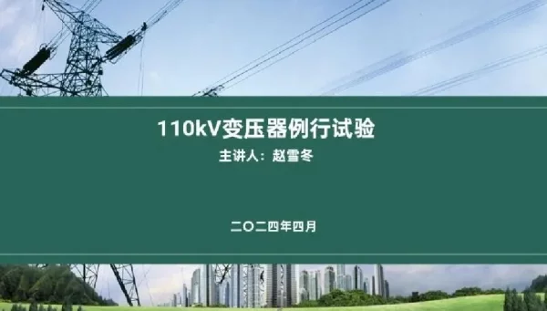 110kV电力变压器例行试验