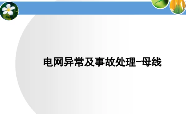 电网异常及事故处理-母线