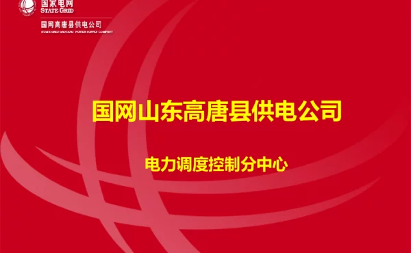 步调一致，稳控电网