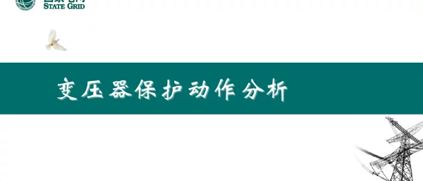 临清公司-变压器保护动作分析