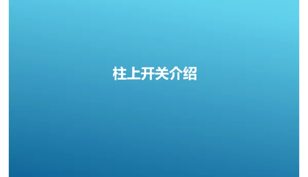 98页10KV配单系统柱上开关详细介绍