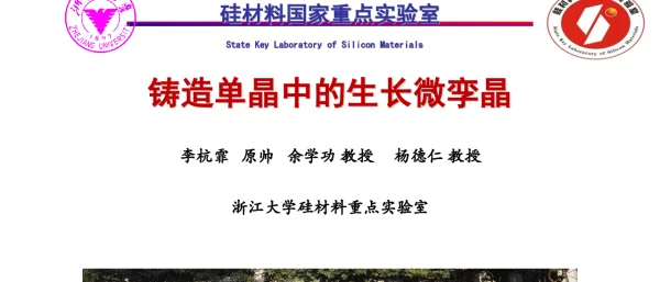 铸造单晶硅中的微枝晶生长-李杭霏