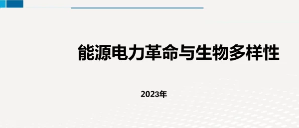 2023能源电力革命与生物多样性
