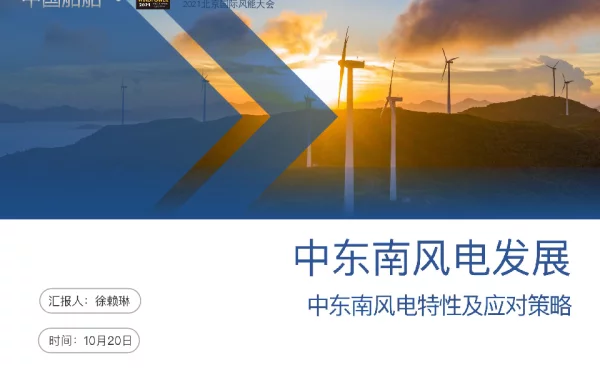 中东南风电特性及应对策略-徐赖琳 2 