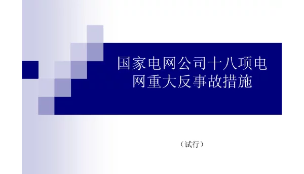 国家电网公司十八项电网重大反措