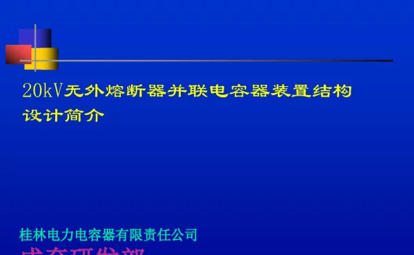 20kV无外熔断器并联电容器