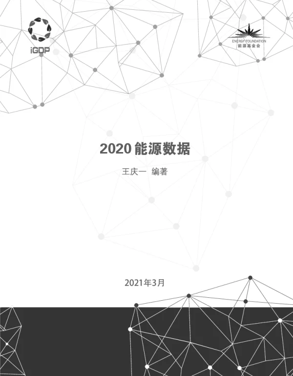 2020能源数据