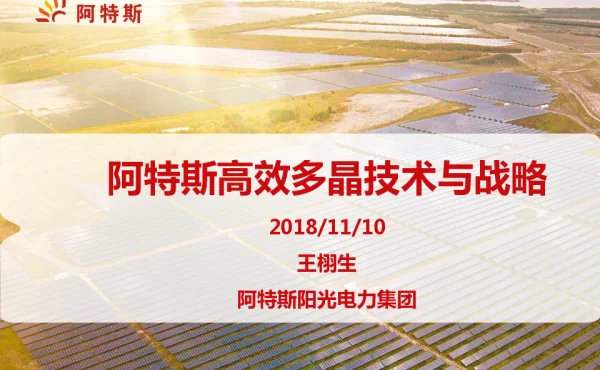 阿特斯高效多晶技术与战略-王栩生