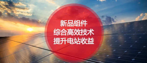 赛拉弗新品组件综合高效技术提升电站收益-11