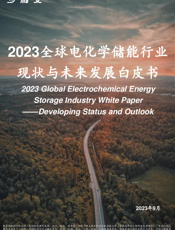 2023全球电化学储能行业现状与未来发展白皮书