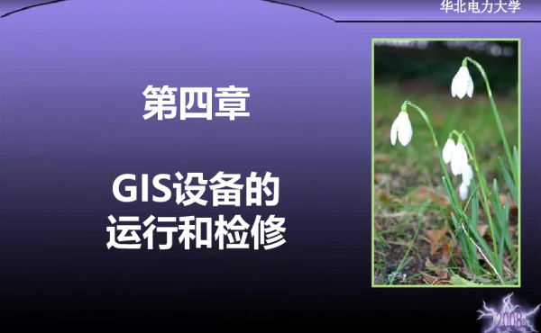GIS设备的运行和检修