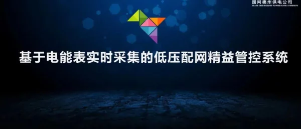 基于电能表实时采集的低压配网精益管控系统