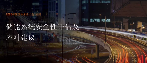2023王日明安全评估与应对建议SGS
