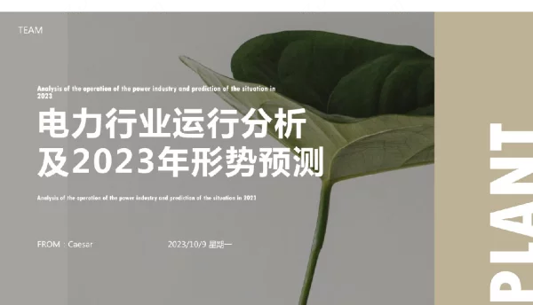 2023年电力行业运行分析形势预测