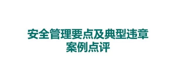 安全管理要点及典型违章案例点评
