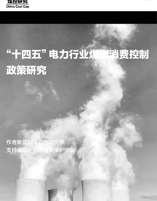 “十四五”电力行业煤炭消费控制政策研究202106