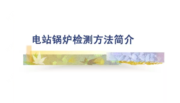 电站锅炉检测方法简介